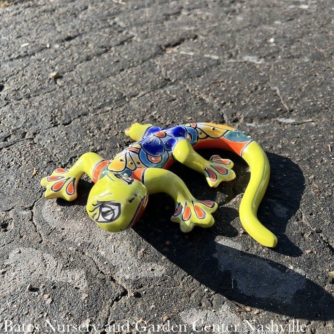 Statuary Salamander/Lizard/Frog MED 11x9 Talavera