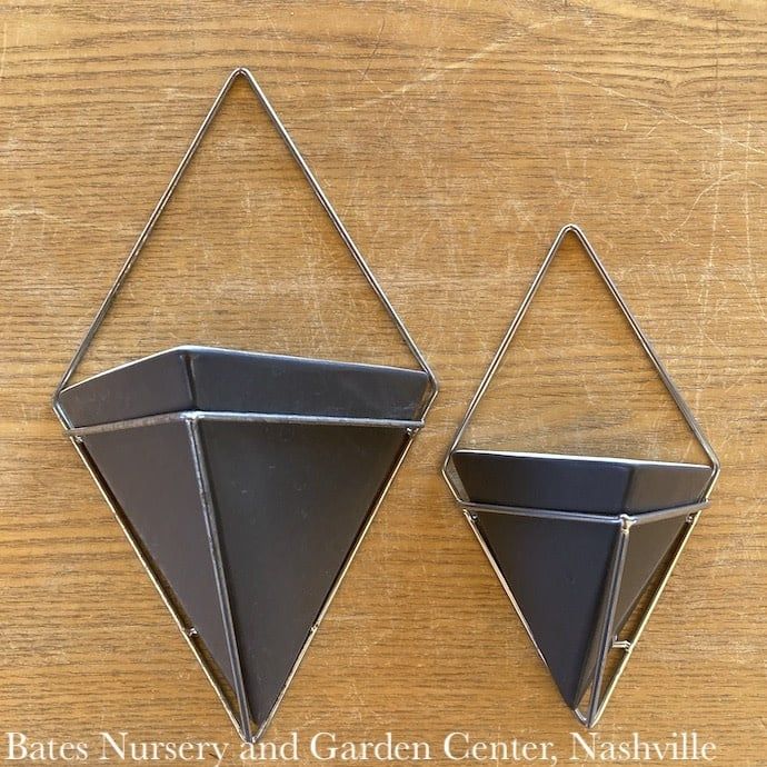 Pot Diamond Wall Planter Sml 4x8 Matte Asst Arcadia