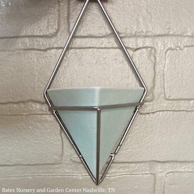 Pot Diamond Wall Planter Sml 4x8 Pastel Asst Arcadia