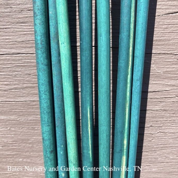 Bamboo Stake 4&#39; Green EACH