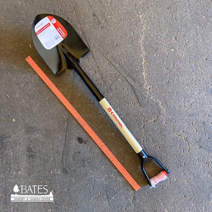Corona Shovel #2 Round Point Wood w/D-Handle 30&quot;