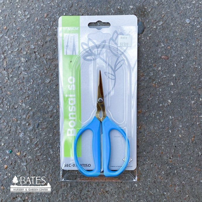 Angled Bonsai Shears / Scissors x