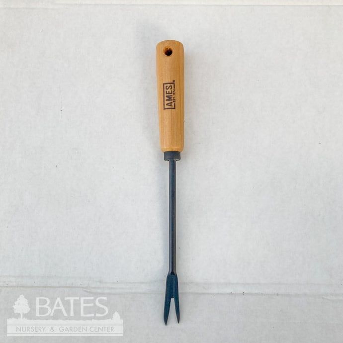 Weeder Dandelion w/Wood Handle Ames
