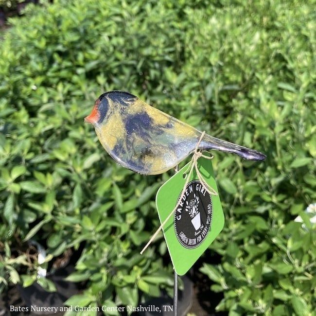 Garden Stake Sml Goldfinch Hand Crafted 12H Resin