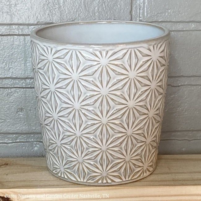 Pot Cylinder Starburst Decor Lrg 10x10 White