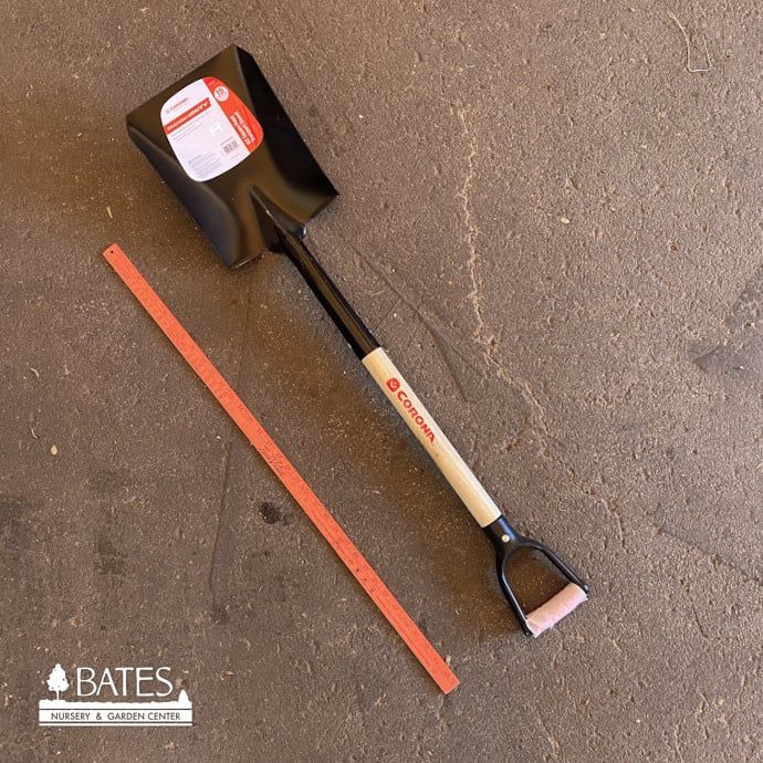 Corona Shovel #2 Square 30&quot; Ash Wood D-Handle