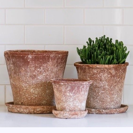 Pot Vesuvius w/Saucer Med 7.75x7  Red Aged Terracotta