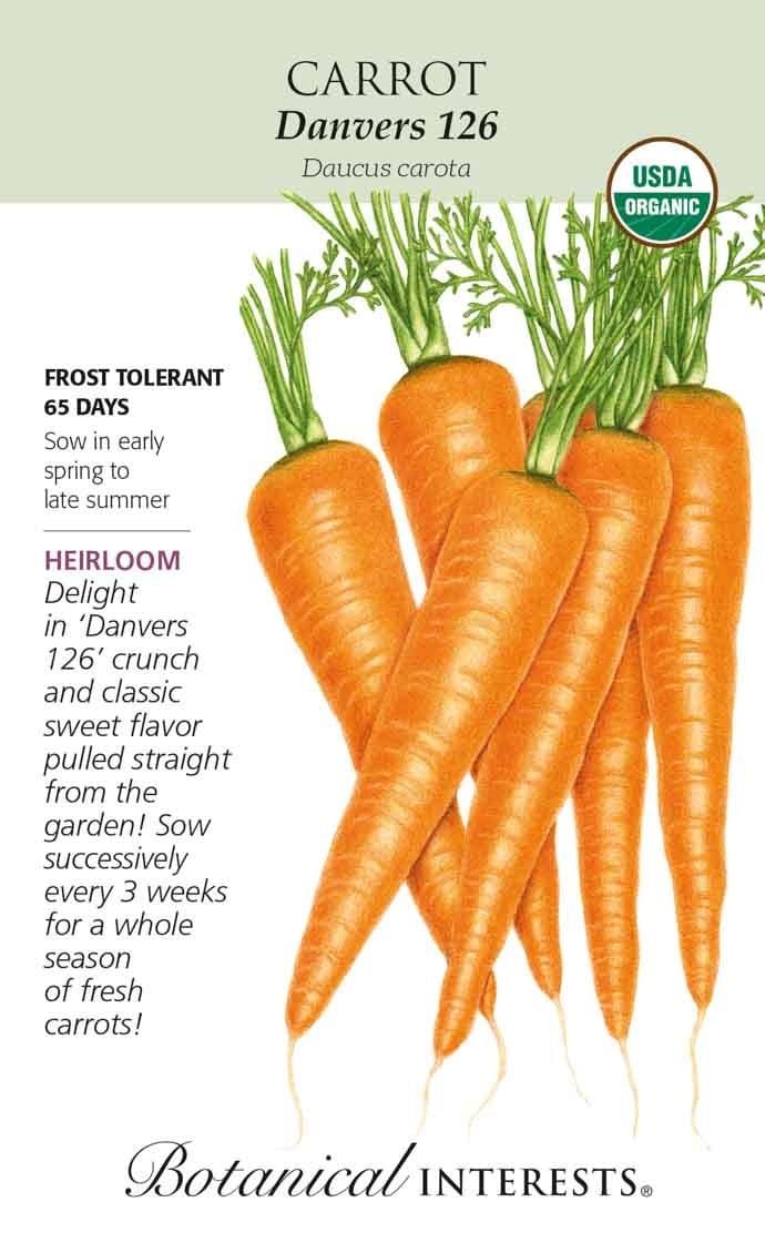 Seed Veg Carrot Danvers 126 Organic Heirloom - Daucus carota - Lrg Pkt