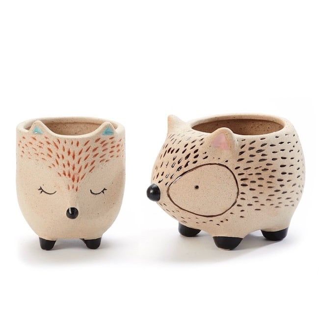 Pot Southwest Animal Planter Fox/Hedgehog 3x3.5 Asst