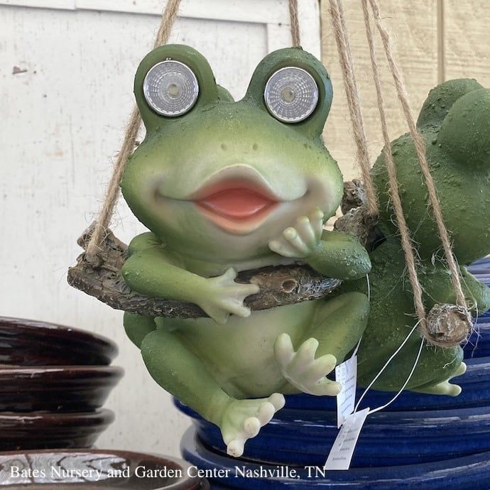 Hanging Frog Solar 6x5x7 Resin 17H