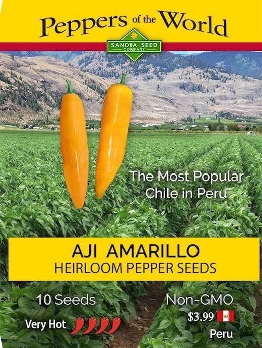 Seed Pepper Aji Amarillo Heirloom - Capsicum baccatum