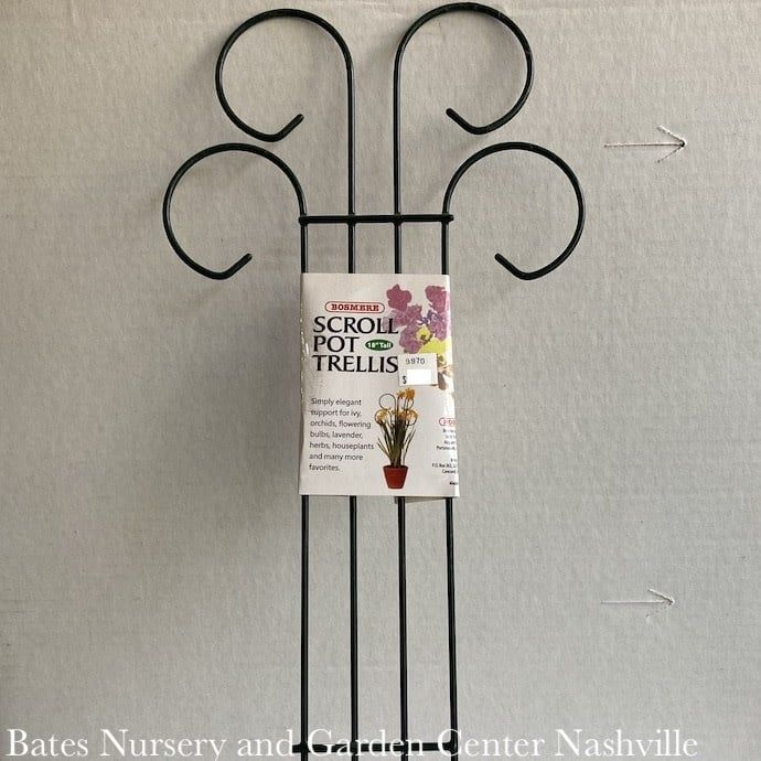 Trellis /Pot Trellis Scroll Top 18&quot; Tall Black Metal