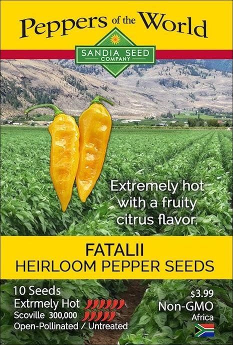 Seed Pepper Fatalii Heirloom - Capsicum chinense