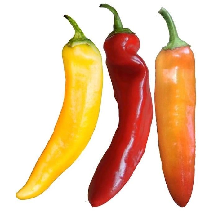 Seed Pepper Hot Hungarian Wax Heirloom Organic - Capsicum annuum