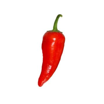 Seed Pepper Fresno Heirloom - Capsicum annuum