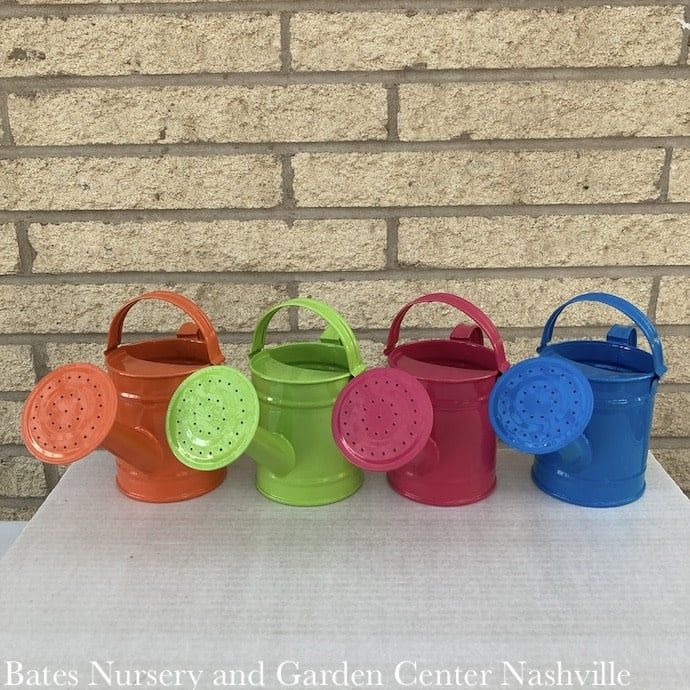 1 pt Mini Watering Can Kids Metal Asst Colors