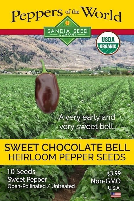 Seed Pepper Bell Chocolate Sweet Heirloom Organic - Capsicum annuum