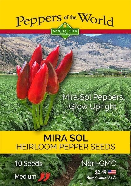 Seed Pepper Mirasol New Mexico Heirloom - Capsicum annuum