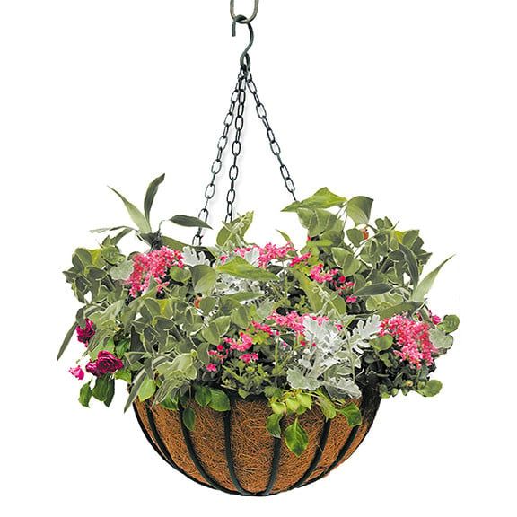 12&quot; Liberty Hanging Basket Black Metal w/Coco Liner Border