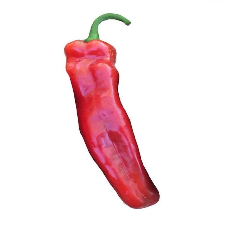 Seed Pepper Marconi Red Sweet - Capsicum annuum