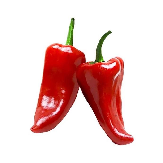 Seed Pepper Piquillo Sweet/Mild Spanish - Capsicum annuum