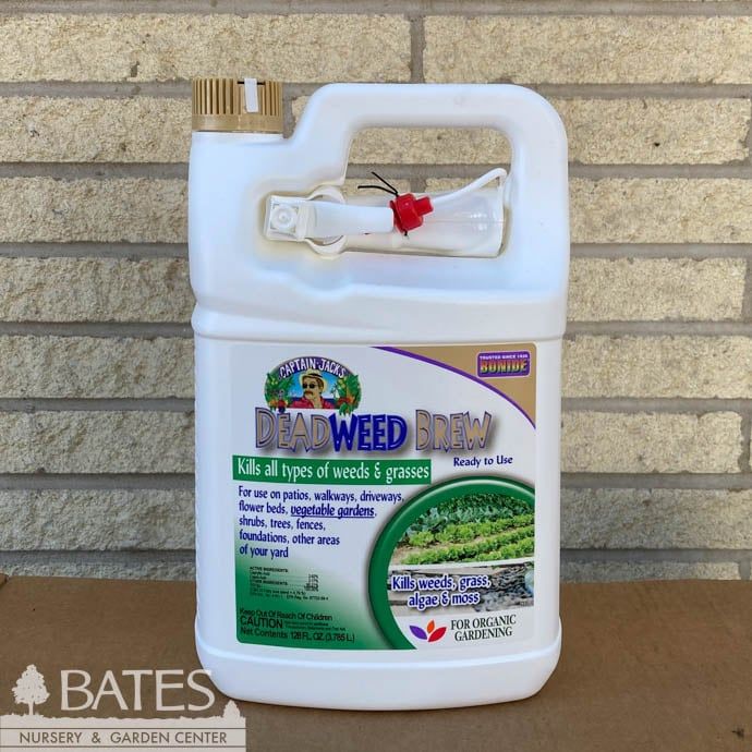 CJ Deadweed Brew 1Gal RTU Herbicide Bonide