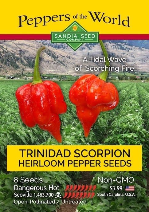 Seed Pepper Trinidad Scorpion - Capsicum chinense