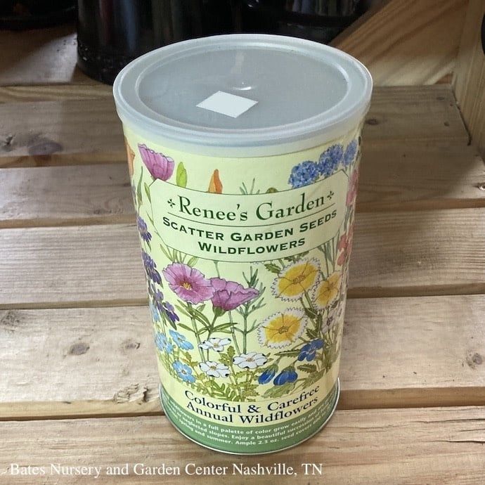Seed Scatter Garden Wildflowers