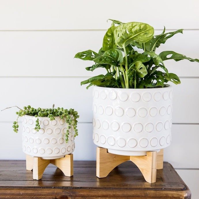 Pot Dottie Dotted Cylinder w/Stand Sml 5x6 White