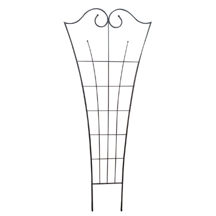 Trellis Fiddlehead 36x84 Graphite Metal