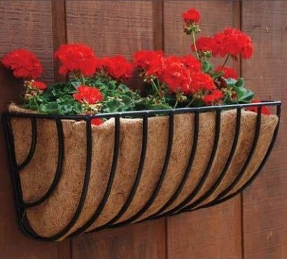 36&quot; Wall Trough XL Waterbury w/Coco Liner Border
