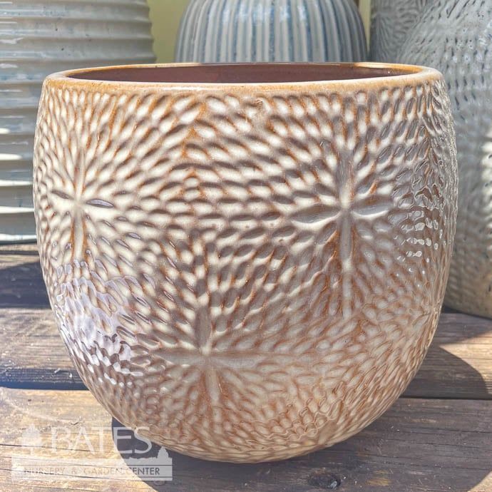 Pot Sand Dollar Planter Sml 8.75x8 Asst