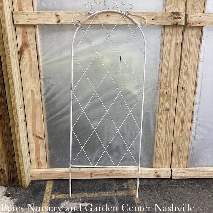 Trellis French Country Scroll 60&quot; Dist White Panacea