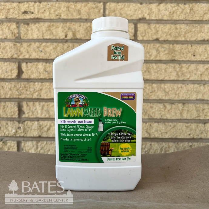 CJ Lawnweed Brew 1Qt Concentrate Herbicide Bonide