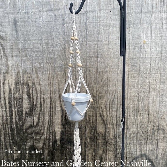 Macrame Hangers Cotton Asst Styles 36-54&quot; Red Carpet Studios