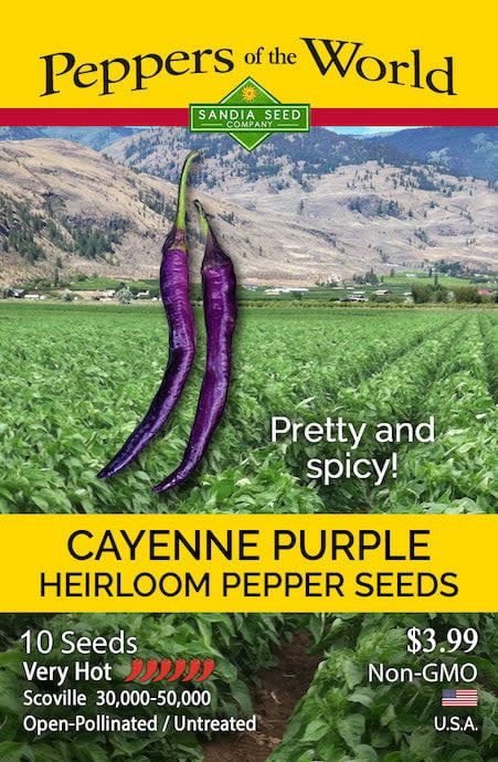 Seed Pepper Cayenne Purple Heirloom - Capsicum annuum