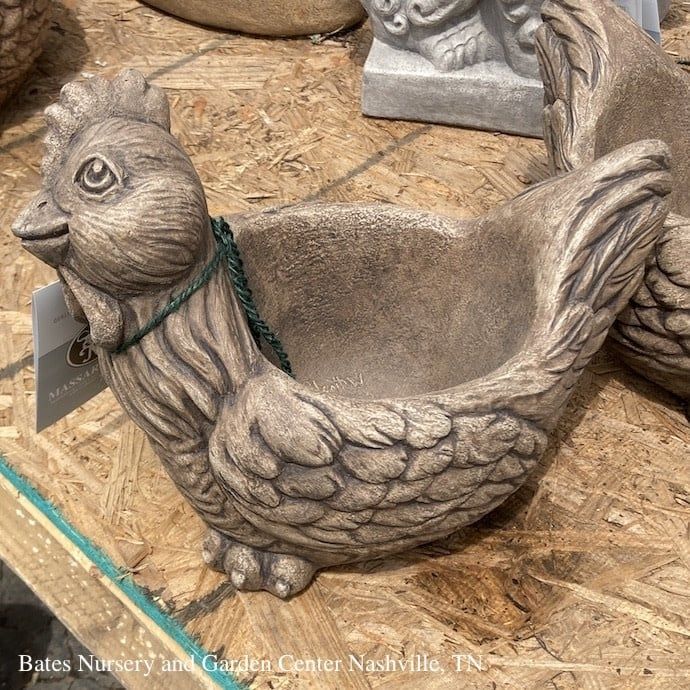 Pot Hannah The Hen Planter 9x12 Concrete
