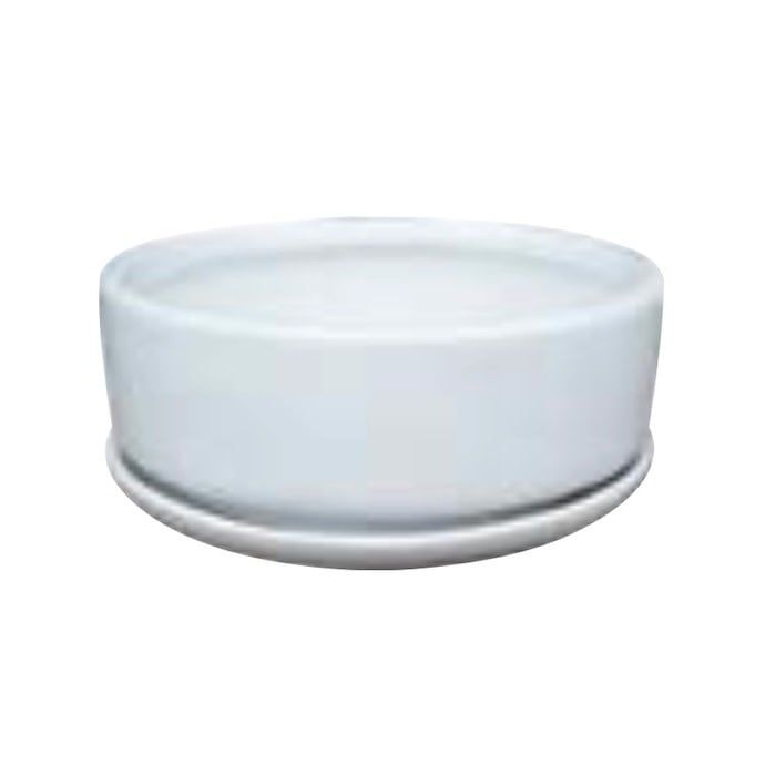 Pot Sylvie Low Bowl w/Saucer Lrg 10x4 White