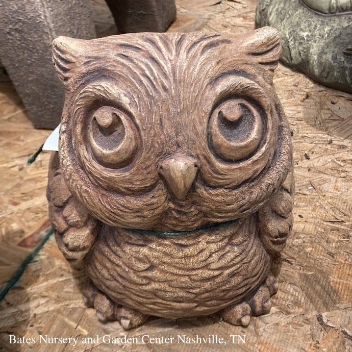 Pot Hoot The Owl Planter 9.5x9.5 Concrete