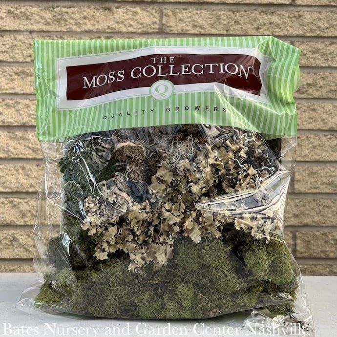 328 cu in Pkg Moss Variety Pack Medium Quality Growers