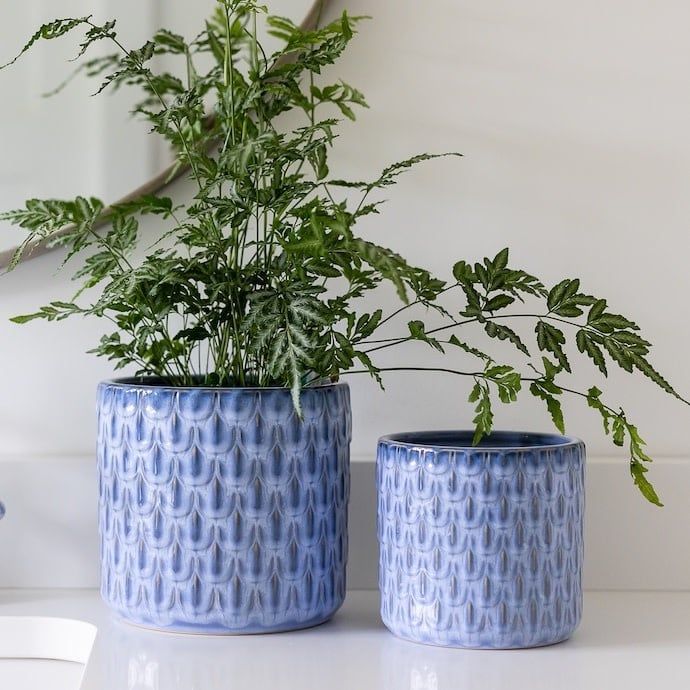 Pot Ridged Scallop Cylinder Lrg 7.5x 6.75 Blue