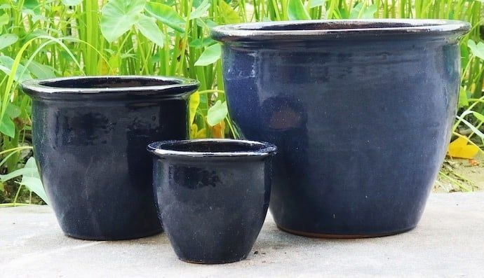Pot Alina Jar w/Rim Med 10x9 Asst
