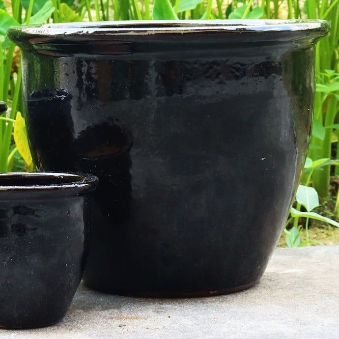 Pot Alina Jar w/Rim Med 10x9 Asst