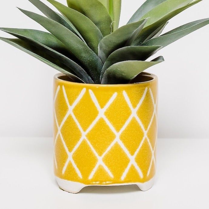 Pot Haley Diamond Cylinder w/Wide Feet 4.5x5 Yellow