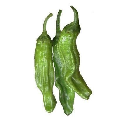Seed Pepper Shishito Heirloom - Capsicum annuum