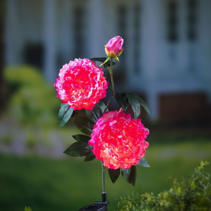 Garden Stake Peony Solar Pink Metal/Plastic/Taffeta 33H