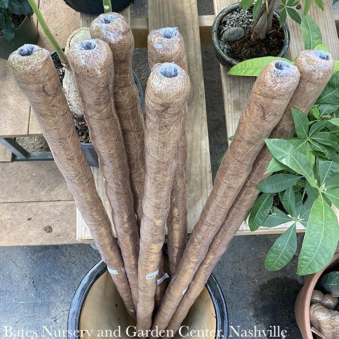 Moss Pole 48" Coconut Grow Pole /Totem Pole for Houseplants / Vines  Arcadia