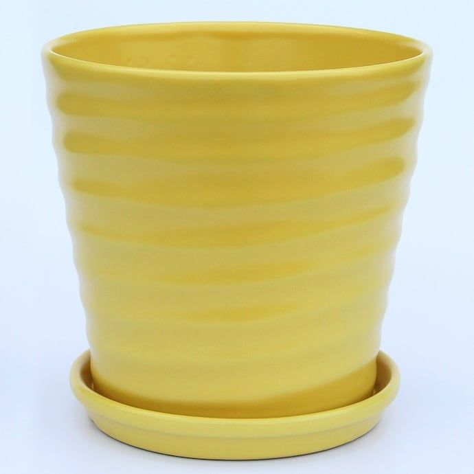Pot Wavy Taper w/Saucer Lrg 6.75x6 Matte Yellow