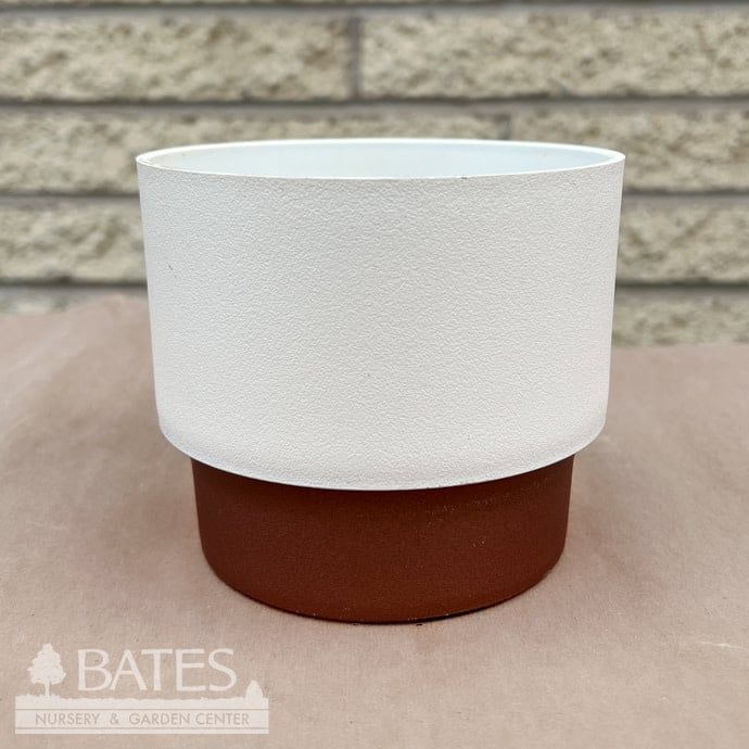 Pot HC 3" Sprite Succulent Pot Vanilla Bisque Lt Wt