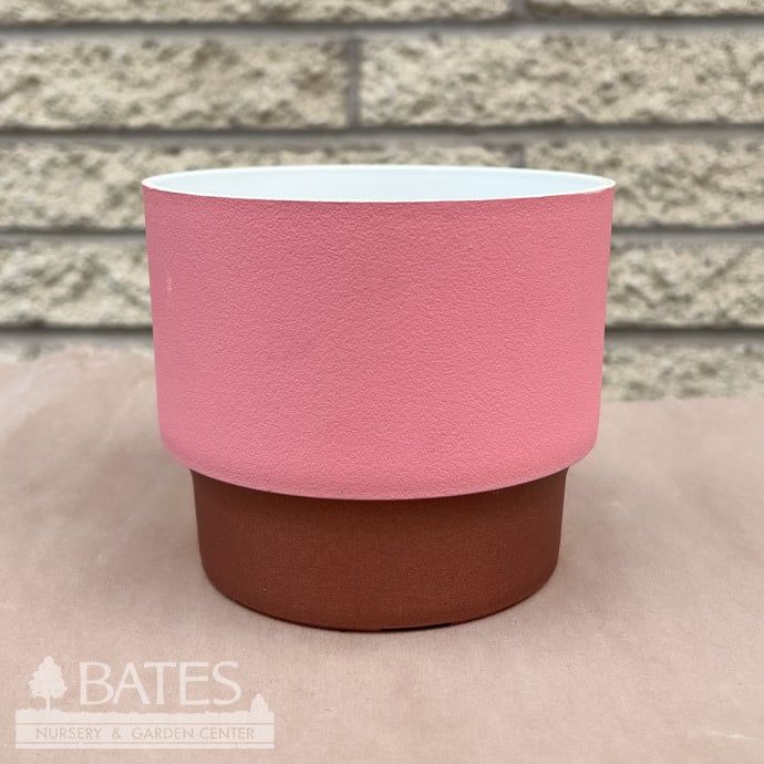 Pot HC 5&quot; Sprite Succulent Pot Blush Lt Wt